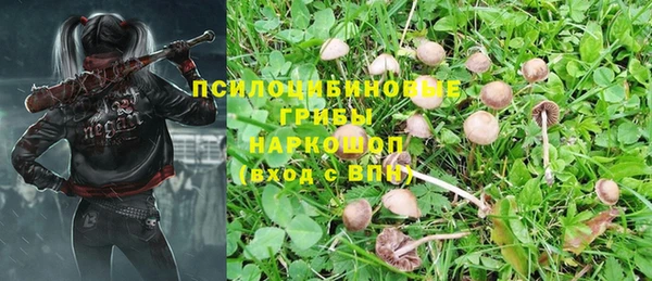 твердый Ростов