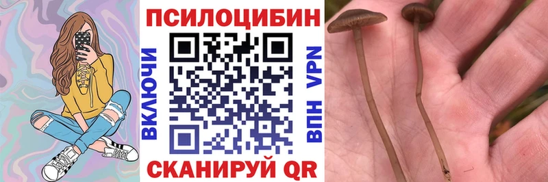 Псилоцибиновые грибы мицелий Черепаново